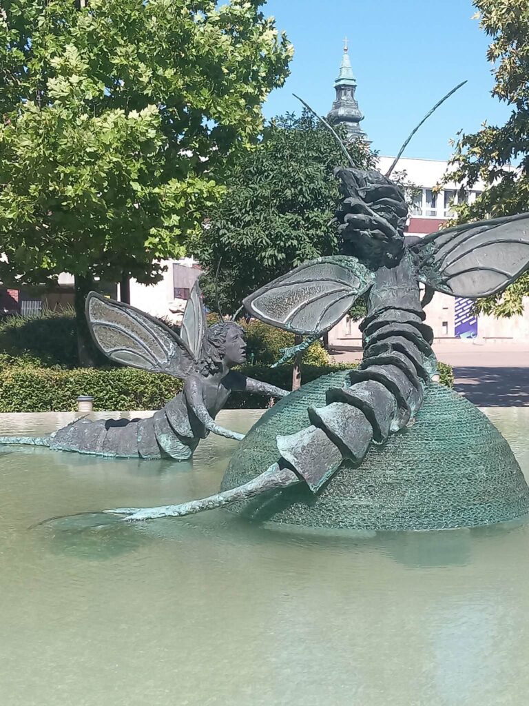 NOE Régiós nap, Szolnok – 2025.07.05.